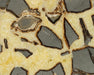 In Stone Fossils 