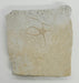 In Stone Fossils 