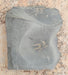 In Stone Fossils 