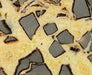 In Stone Fossils 