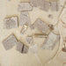 In Stone Fossils 