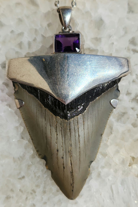 Megalodon Tooth Pendant with Amethyst Jewel
