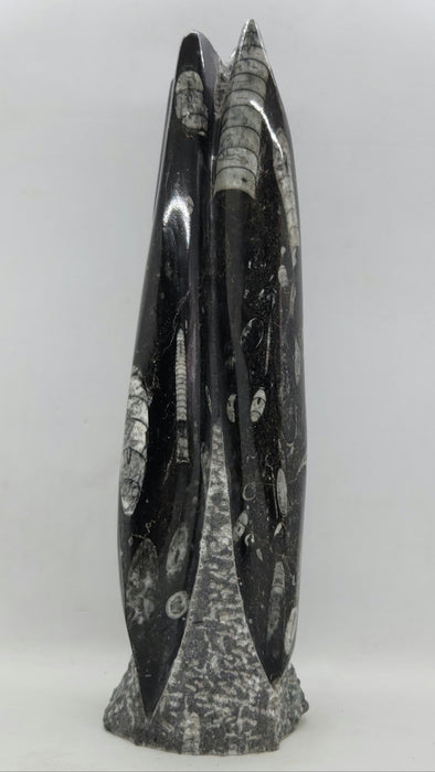 Orthoceras Spire Tower