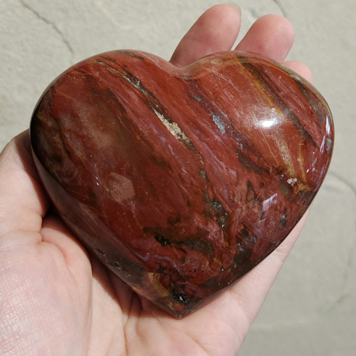 Petrified Wood Hearts | Madagascar