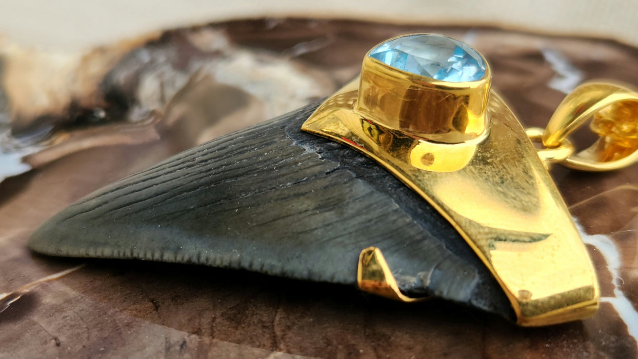 Megalodon Tooth Pendant with Blue Topaz Jewel