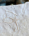 In Stone Fossils 