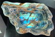 In Stone Fossils 