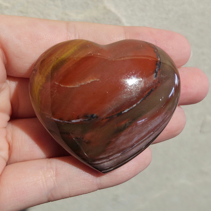 Petrified Wood Hearts | Madagascar