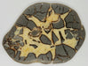 In Stone Fossils 