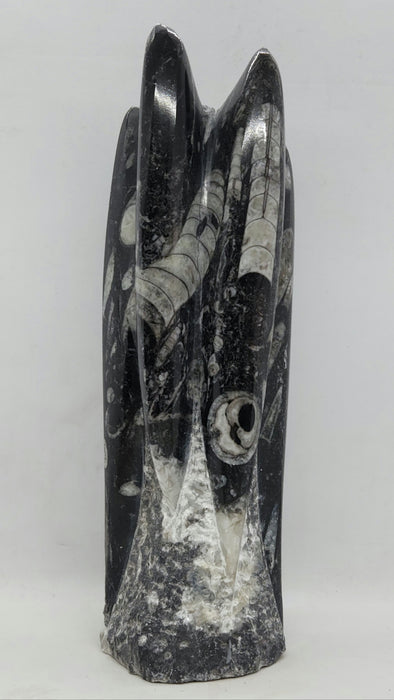 Orthoceras Spire Tower