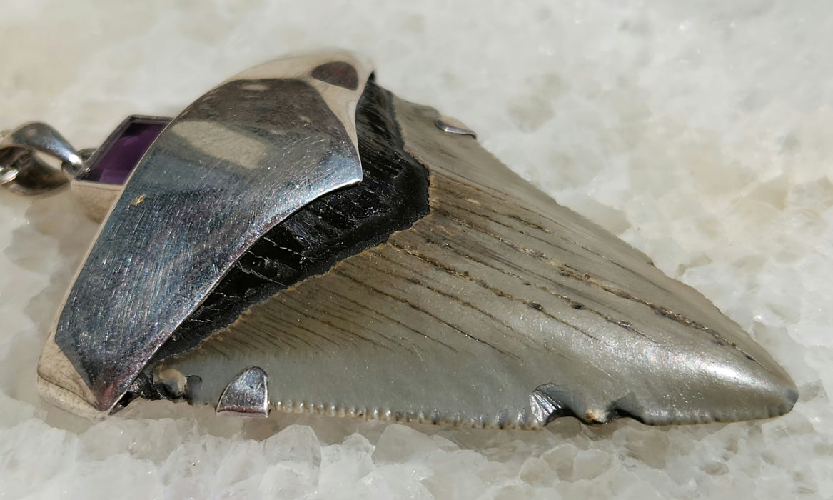 Megalodon Tooth Pendant with Amethyst Jewel