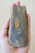 In Stone Fossils 