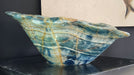In Stone Fossils 