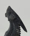 In Stone Fossils 
