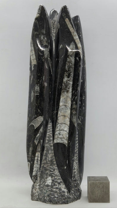 Orthoceras Spire Tower