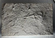 In Stone Fossils 