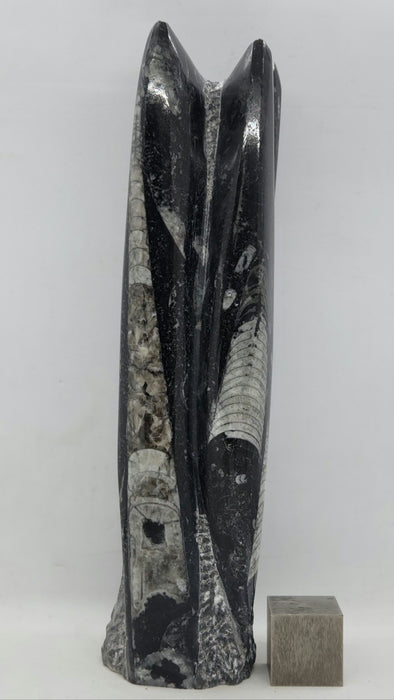 Orthoceras Spire Tower