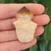 In Stone Fossils 