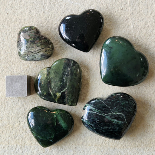 In Stone Fossils 
