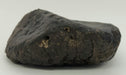In Stone Fossils 