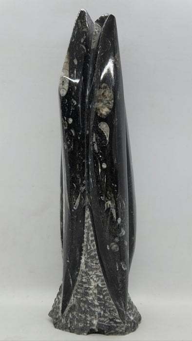 Orthoceras Spire Tower