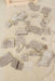 In Stone Fossils 