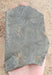 In Stone Fossils 