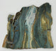 In Stone Fossils 