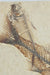 In Stone Fossils 