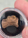 In Stone Fossils 