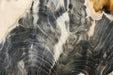 In Stone Fossils 