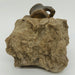 In Stone Fossils 