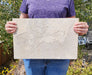 In Stone Fossils 