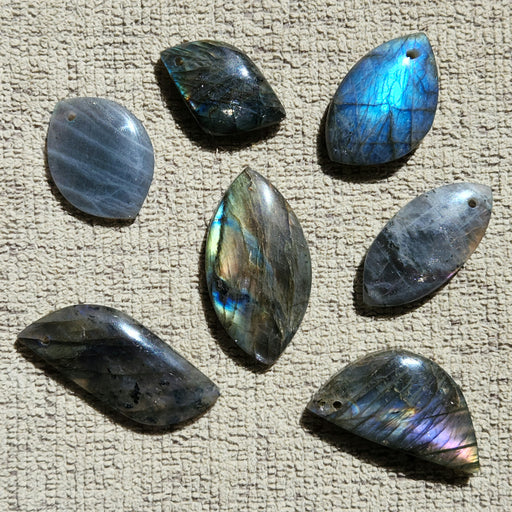In Stone Fossils 