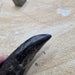 In Stone Fossils 