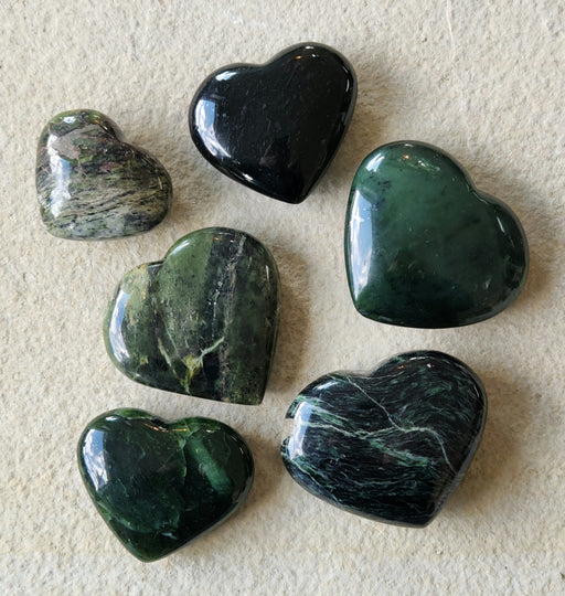 In Stone Fossils 