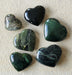 In Stone Fossils 