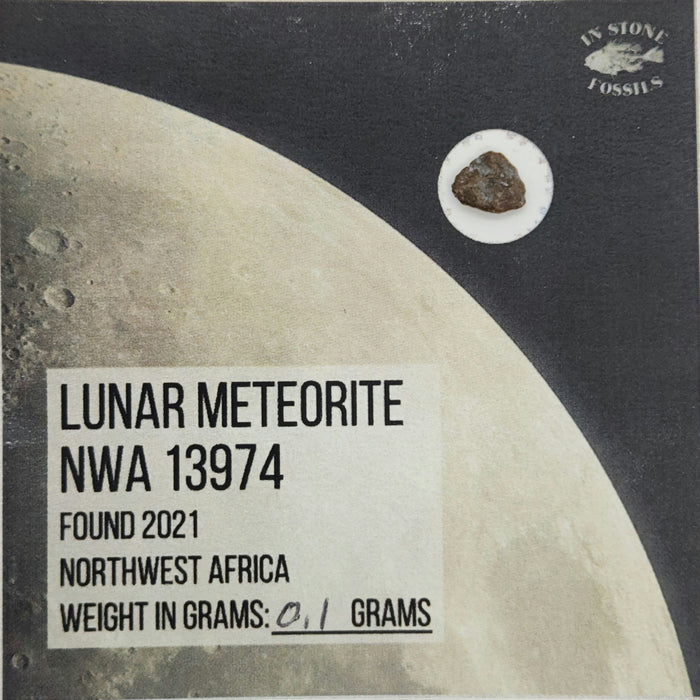 Lunar Meteorite NWA 13974