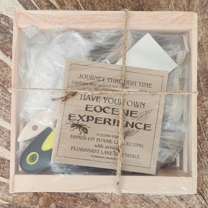 Eocene Experience Kit | Florissant Fossil Quarry | Colorado