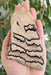 In Stone Fossils 