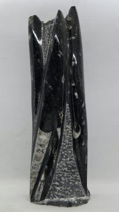 Orthoceras Spire Tower