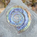 In Stone Fossils 