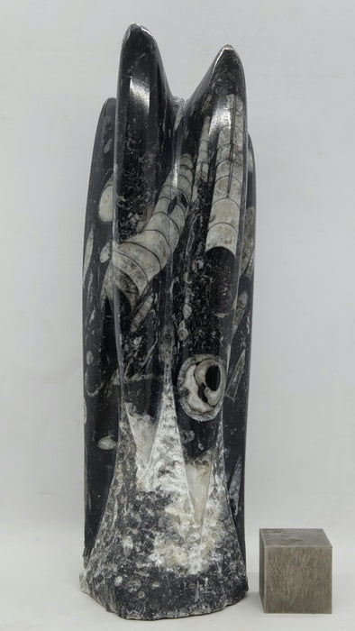 Orthoceras Spire Tower