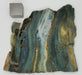 In Stone Fossils 