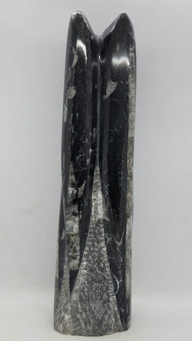 Orthoceras Spire Tower