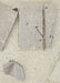 In Stone Fossils 