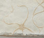 In Stone Fossils 