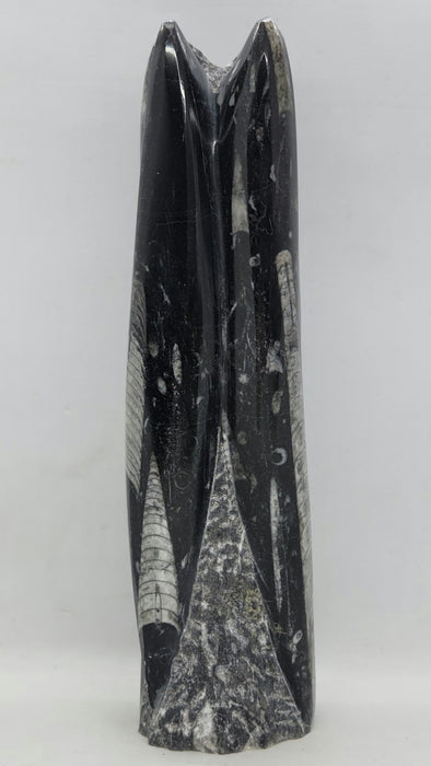 Orthoceras Spire Tower