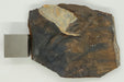 In Stone Fossils 