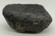 In Stone Fossils 